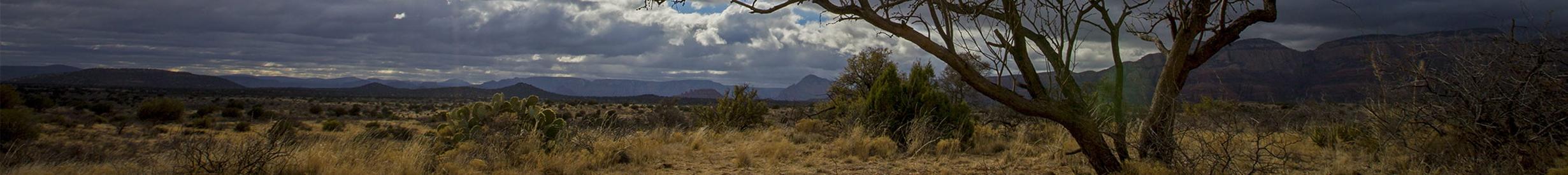 Northern Arizona Landscape Photograph by Larry Hendricks